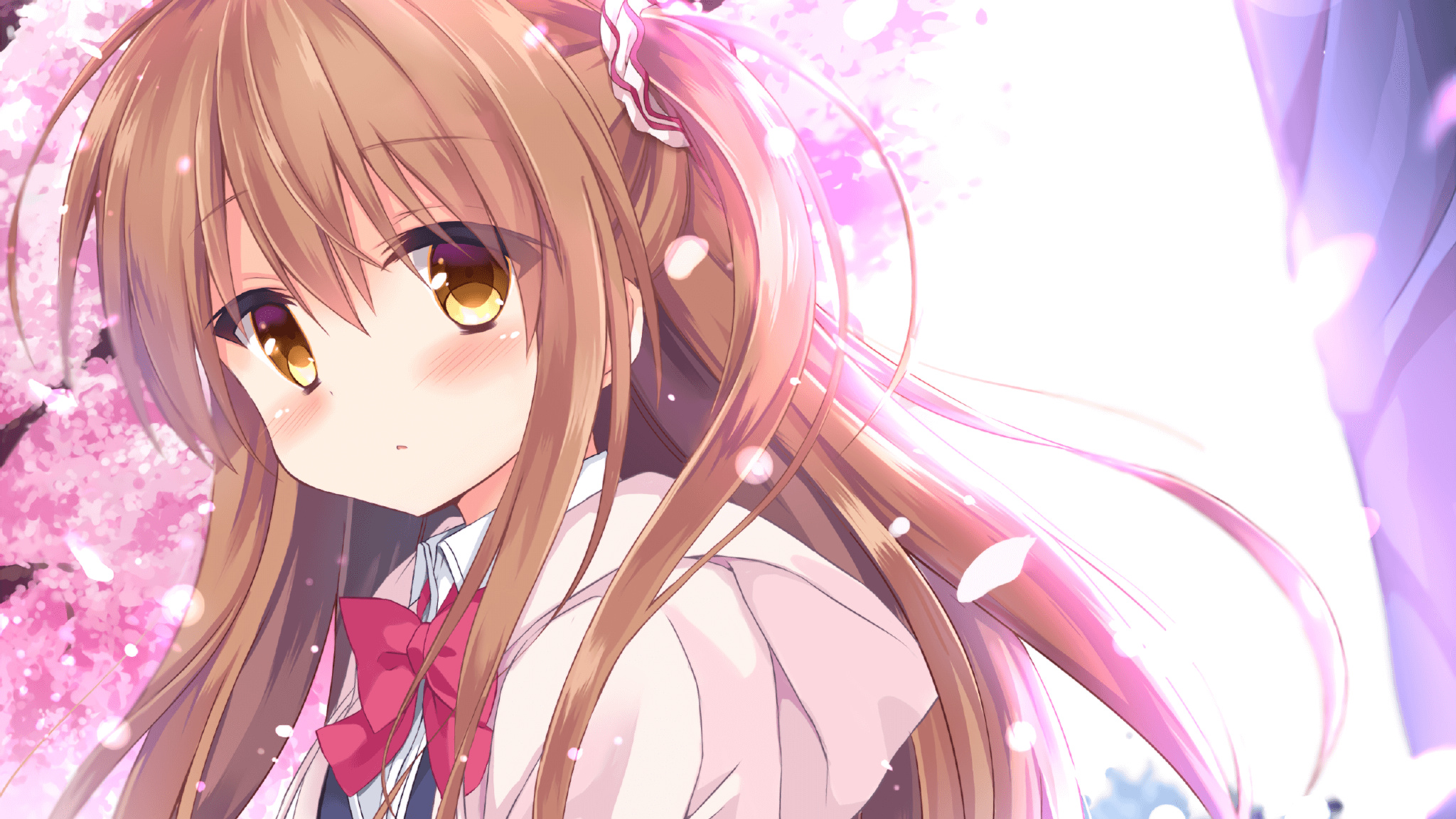 10月11日 | 节点数量101 | 最新免费节点免费订阅链接